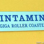 Intamin's name plate